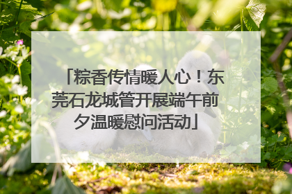 粽香传情暖人心！东莞石龙城管开展端午前夕温暖慰问活动