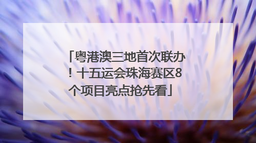 粤港澳三地首次联办！十五运会珠海赛区8个项目亮点抢先看