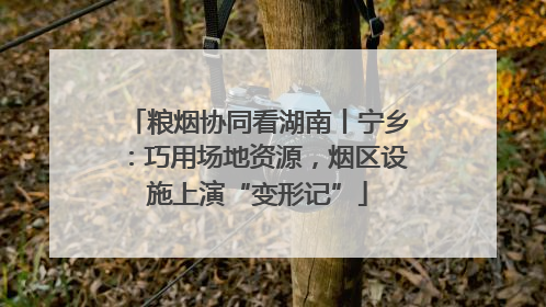 粮烟协同看湖南丨宁乡：巧用场地资源，烟区设施上演“变形记”