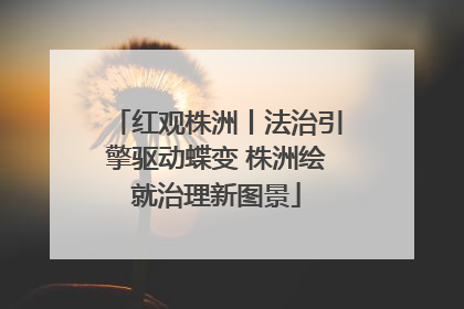 红观株洲丨法治引擎驱动蝶变 株洲绘就治理新图景
