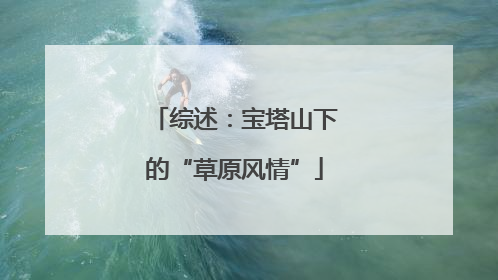 综述：宝塔山下的“草原风情”