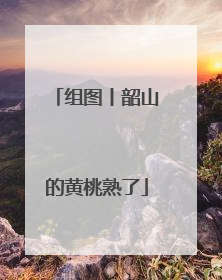 组图丨韶山的黄桃熟了