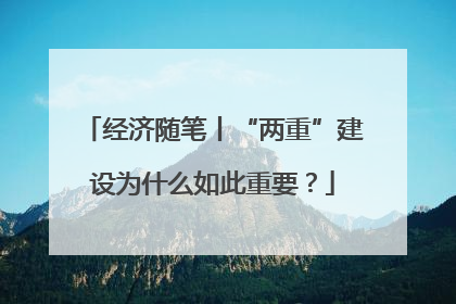 经济随笔丨“两重”建设为什么如此重要？