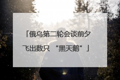 俄乌第二轮会谈前夕 飞出数只 “黑天鹅”