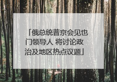 俄总统普京会见也门领导人 将讨论政治及地区热点议题