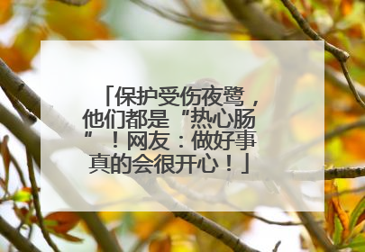 保护受伤夜鹭，他们都是“热心肠”！网友：做好事真的会很开心！