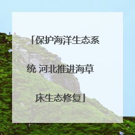 保护海洋生态系统 河北推进海草床生态修复