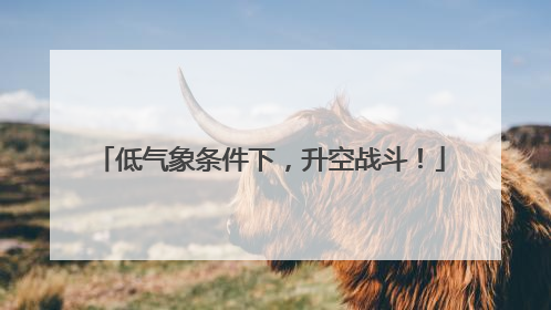 低气象条件下，升空战斗！