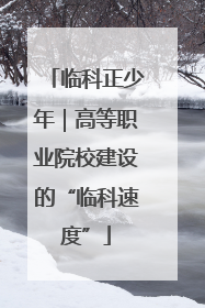 临科正少年｜高等职业院校建设的“临科速度”