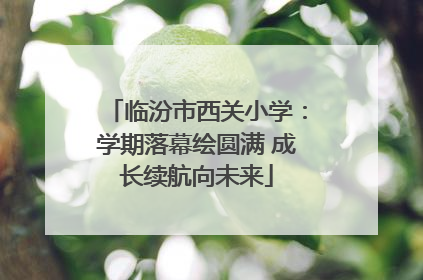 临汾市西关小学：学期落幕绘圆满 成长续航向未来