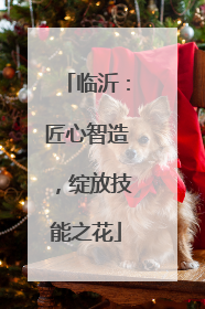 临沂：匠心智造，绽放技能之花