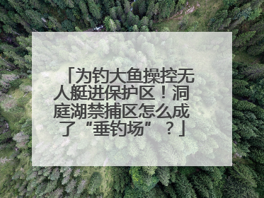 为钓大鱼操控无人艇进保护区！洞庭湖禁捕区怎么成了“垂钓场”？