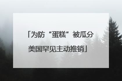 为防“蛋糕”被瓜分 美国罕见主动推销