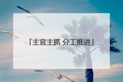 主官主抓 分工推进