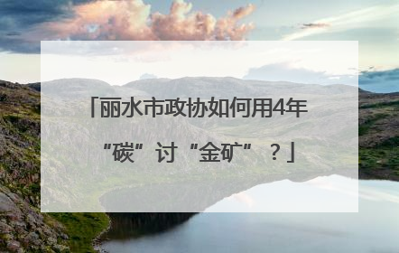 丽水市政协如何用4年“碳”讨“金矿”？