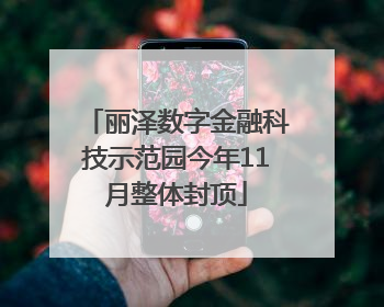 丽泽数字金融科技示范园今年11月整体封顶