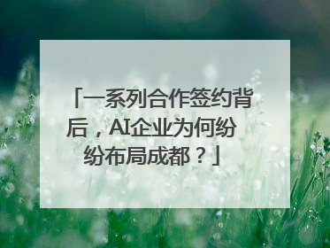 一系列合作签约背后，AI企业为何纷纷布局成都？