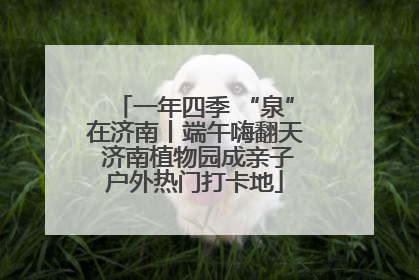 一年四季 “泉”在济南丨端午嗨翻天 济南植物园成亲子户外热门打卡地
