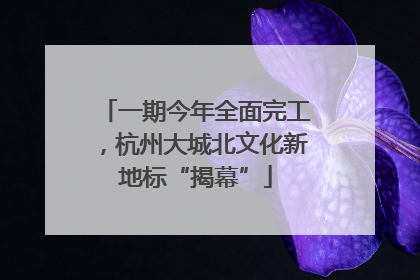 一期今年全面完工，杭州大城北文化新地标“揭幕”