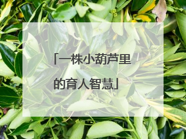 一株小葫芦里的育人智慧
