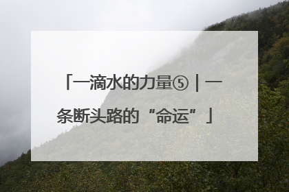 一滴水的力量⑤｜一条断头路的“命运”