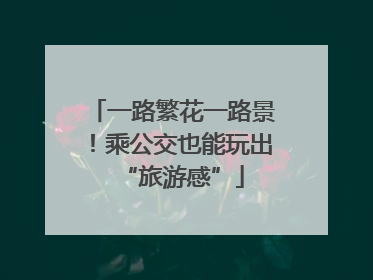 一路繁花一路景！乘公交也能玩出“旅游感”