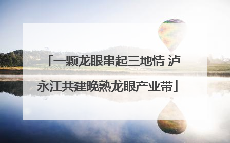 一颗龙眼串起三地情 泸永江共建晚熟龙眼产业带