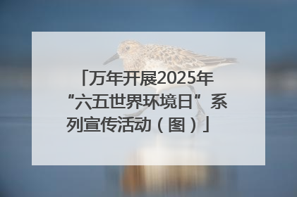 万年开展2025年“六五世界环境日”系列宣传活动（图）