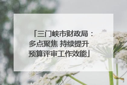 三门峡市财政局：多点聚焦 持续提升预算评审工作效能