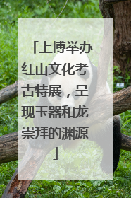 上博举办红山文化考古特展，呈现玉器和龙崇拜的渊源