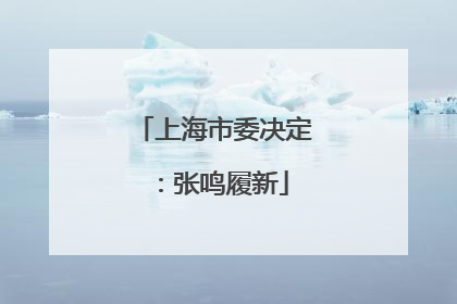 上海市委决定：张鸣履新