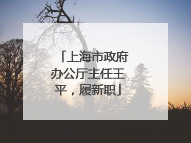 上海市政府办公厅主任王平，履新职