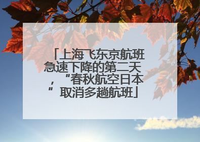 上海飞东京航班急速下降的第二天，“春秋航空日本”取消多趟航班