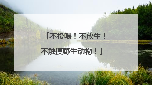 不投喂！不放生！不触摸野生动物！
