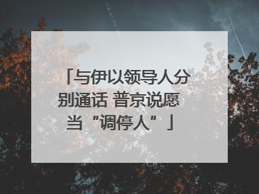 与伊以领导人分别通话 普京说愿当“调停人”