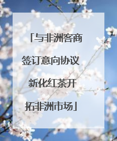 与非洲客商签订意向协议 新化红茶开拓非洲市场