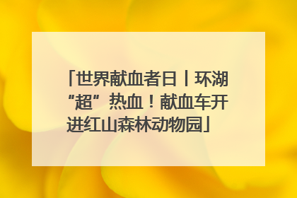 世界献血者日丨环湖“超”热血！献血车开进红山森林动物园