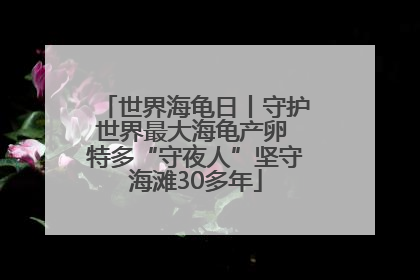 世界海龟日丨守护世界最大海龟产卵 特多“守夜人”坚守海滩30多年