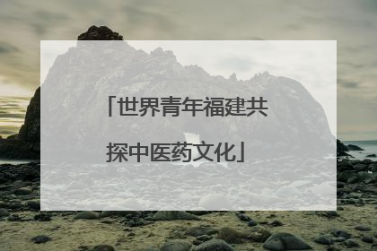 世界青年福建共探中医药文化