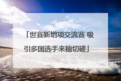 世赛新增项交流赛 吸引多国选手来穗切磋