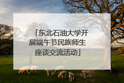 东北石油大学开展端午节民族师生座谈交流活动