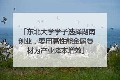 东北大学学子选择湖南创业，要用高性能金属复材为产业降本增效