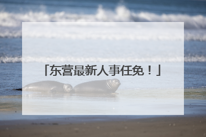 东营最新人事任免！