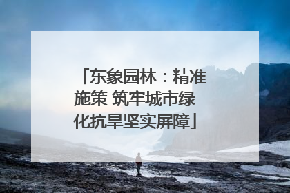 东象园林：精准施策 筑牢城市绿化抗旱坚实屏障