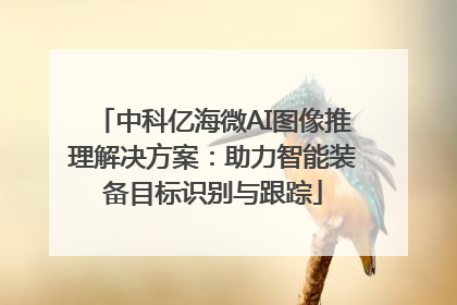 中科亿海微AI图像推理解决方案：助力智能装备目标识别与跟踪