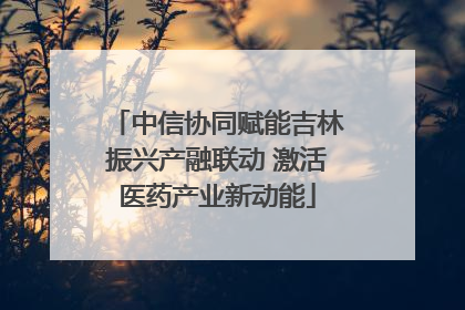 中信协同赋能吉林振兴产融联动 激活医药产业新动能