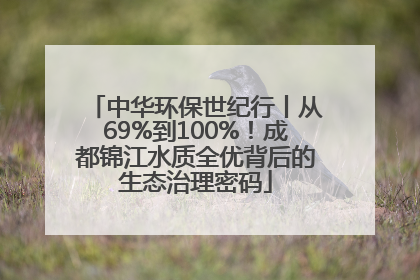 中华环保世纪行丨从69%到100%！成都锦江水质全优背后的生态治理密码