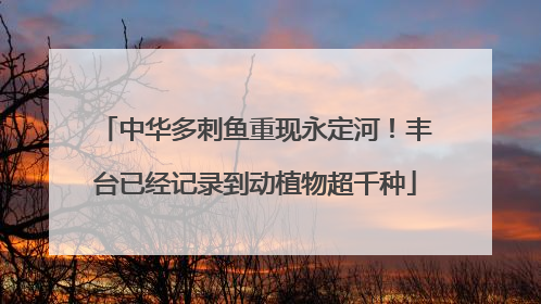 中华多刺鱼重现永定河！丰台已经记录到动植物超千种