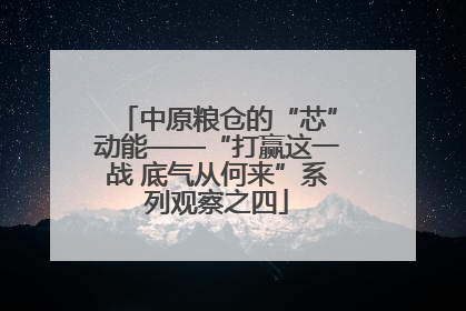 中原粮仓的“芯”动能——“打赢这一战 底气从何来”系列观察之四