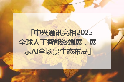 中兴通讯亮相2025全球人工智能终端展，展示AI全场景生态布局
